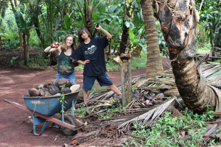 Paradise Eco Village Pahoa Eksteriør bilde