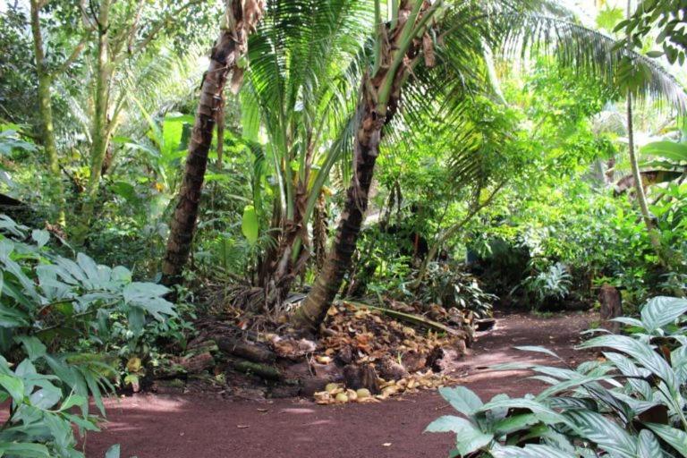 Paradise Eco Village Pahoa Eksteriør bilde