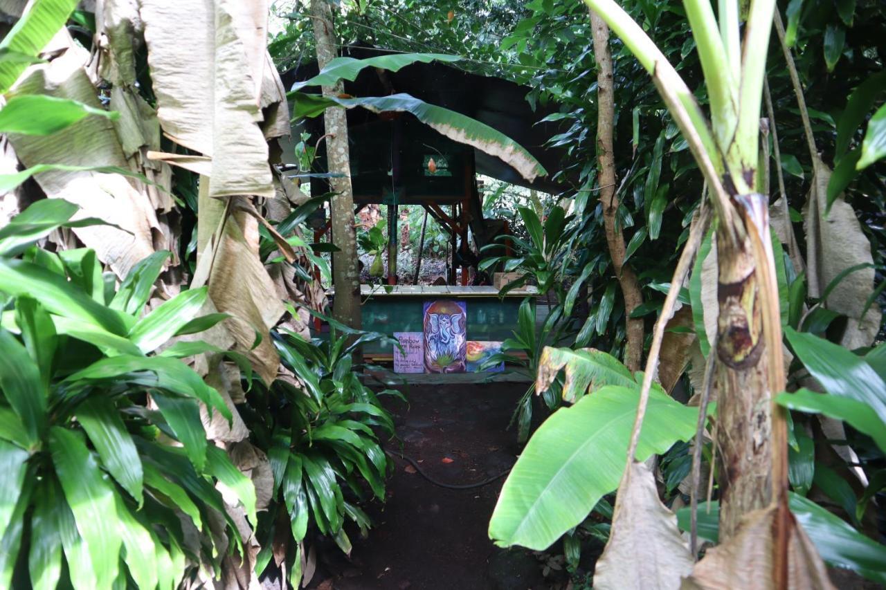Paradise Eco Village Pahoa Eksteriør bilde