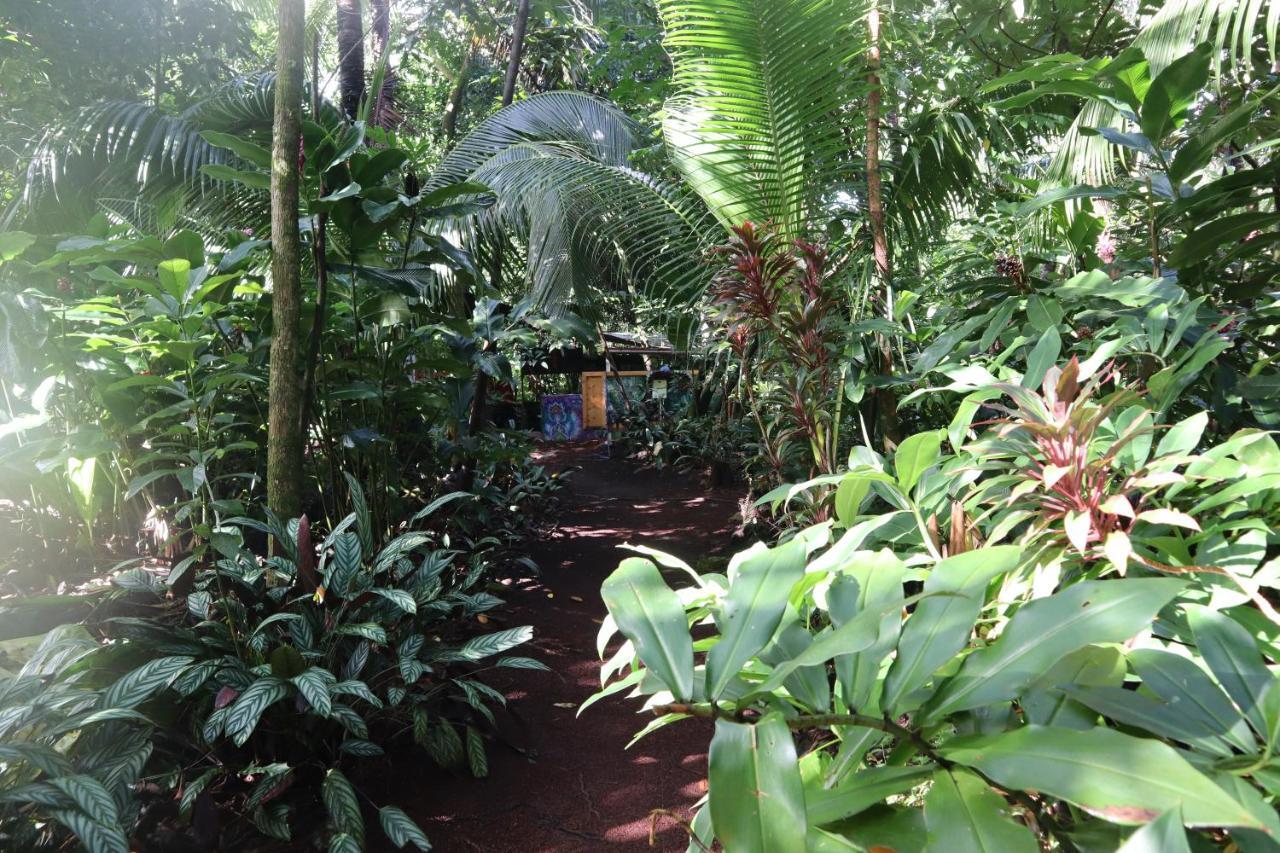 Paradise Eco Village Pahoa Eksteriør bilde