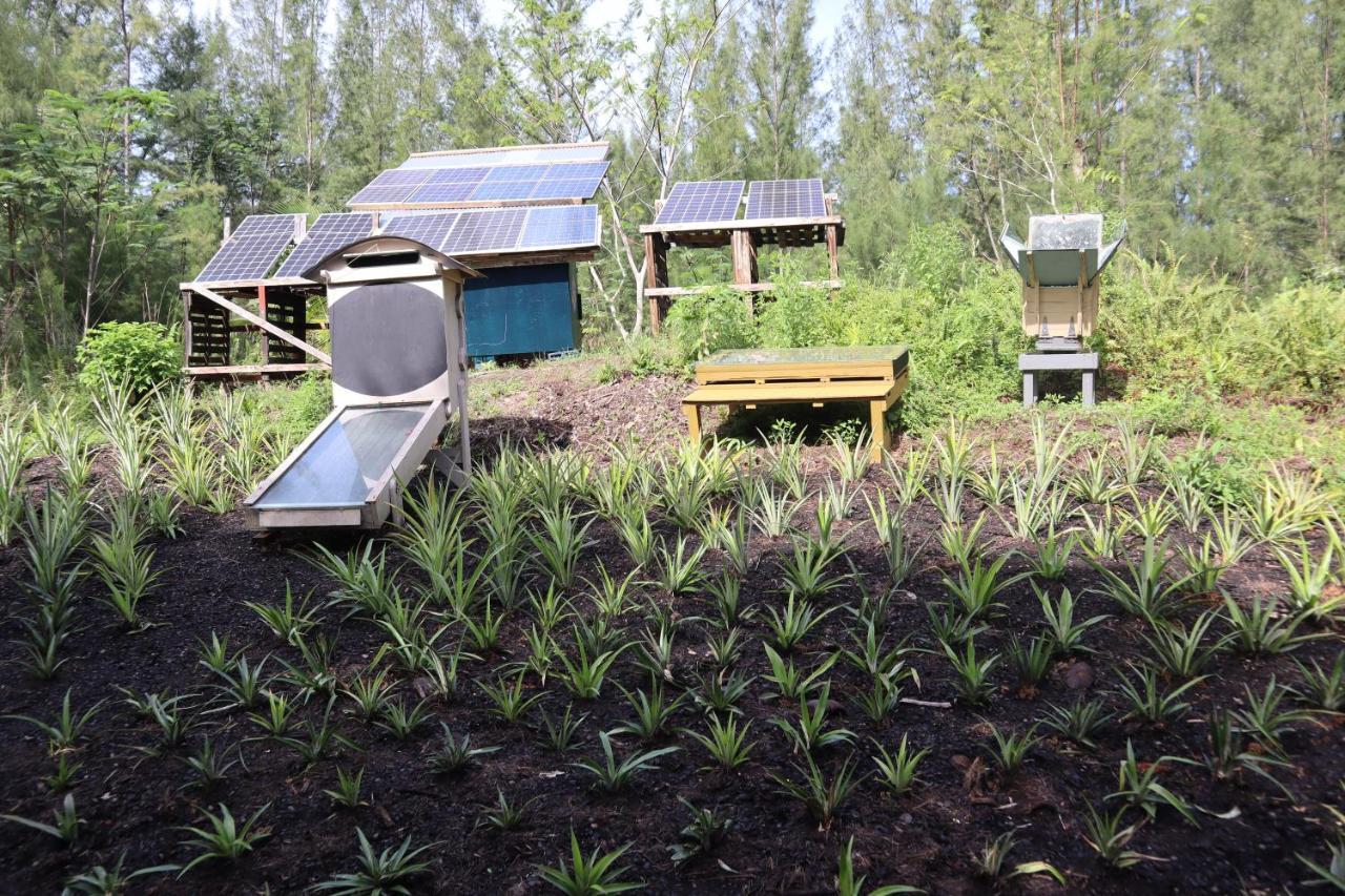 Paradise Eco Village Pahoa Eksteriør bilde