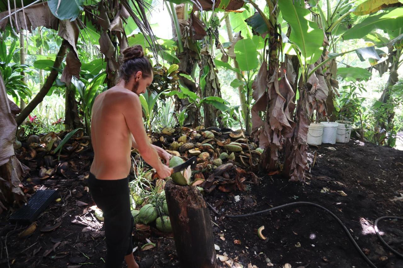 Paradise Eco Village Pahoa Eksteriør bilde