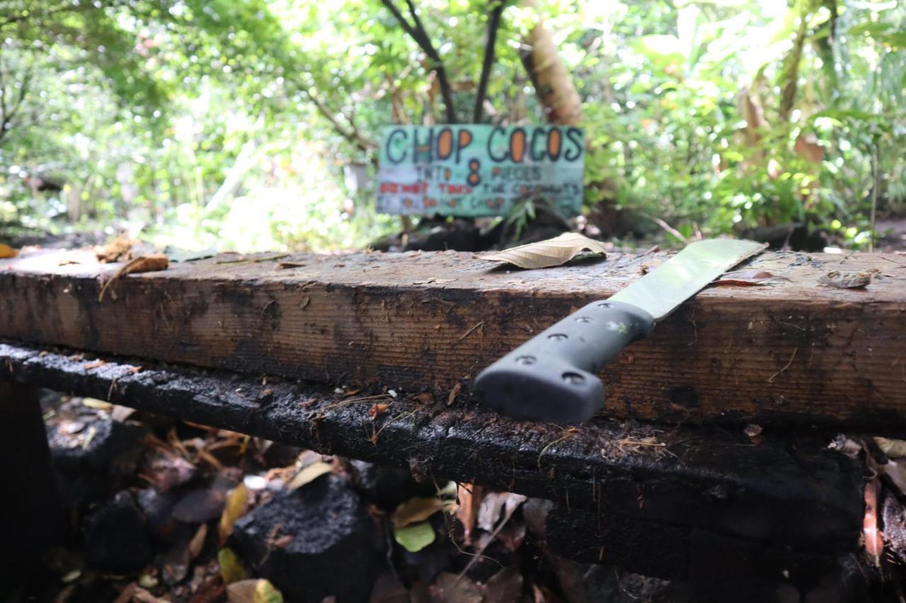 Paradise Eco Village Pahoa Eksteriør bilde